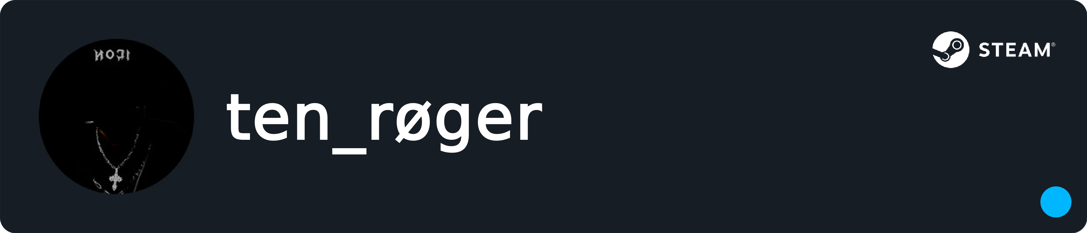 Steam Profile Widget